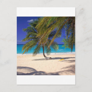 Tropical Island Seven Mile Grand Cayman Vykort