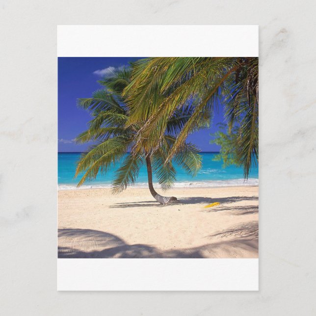 Tropical Island Seven Mile Grand Cayman Vykort (Framsida)