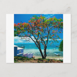 Tropical Island Tropical Escape Bahamas Vykort