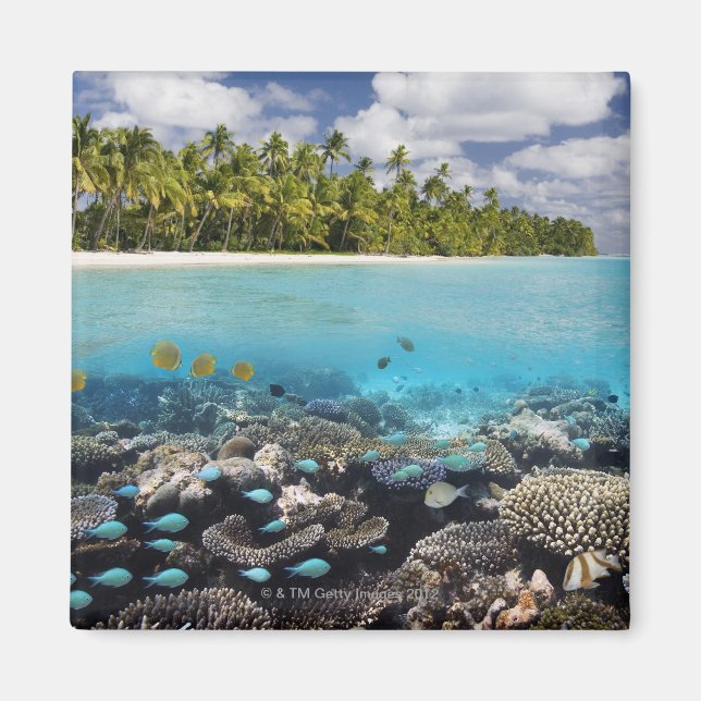 Tropical Lagoon i South Ari Afee Magnet (Framsidan)