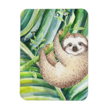 Tropical lycklig Sloth
