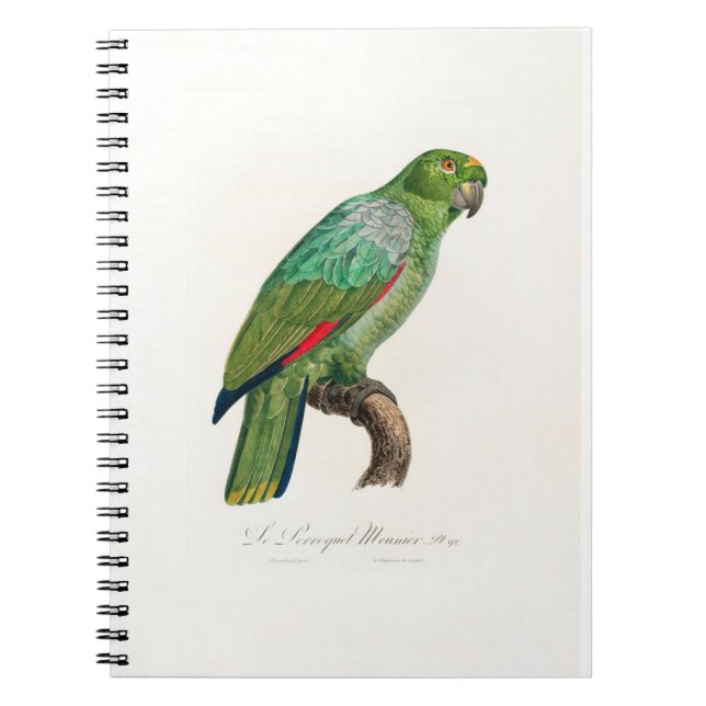 tropical macaw parrot anteckningsbok (Framsidan)