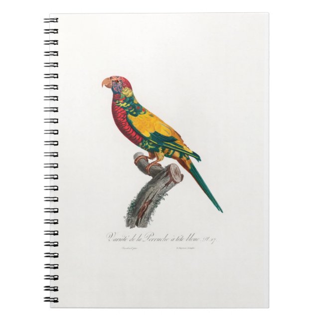 tropical macaw parrot anteckningsbok (Framsidan)