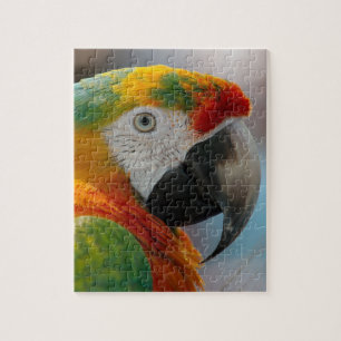 Tropical Macaw Parrot Pussel