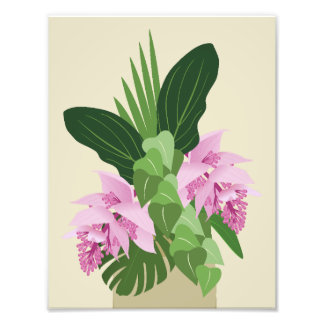 Tropical Medinilla Rosa Flower på Gulten Fototryck