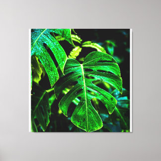 Tropical Monstera Glow – Jungle Leaf Photography Canvastryck