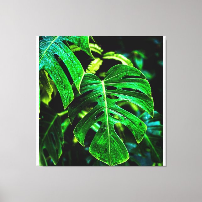 Tropical Monstera Glow – Jungle Leaf Photography Canvastryck (Framsida)