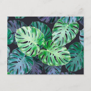 Tropical Monstera Löv Vykort