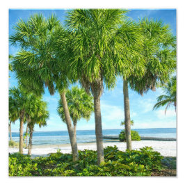 Tropical Palm Garden Wall Art Coastal Decor Fototryck
