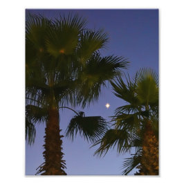 Tropical Palm Tree Wall Art Twilight Coastal Fototryck