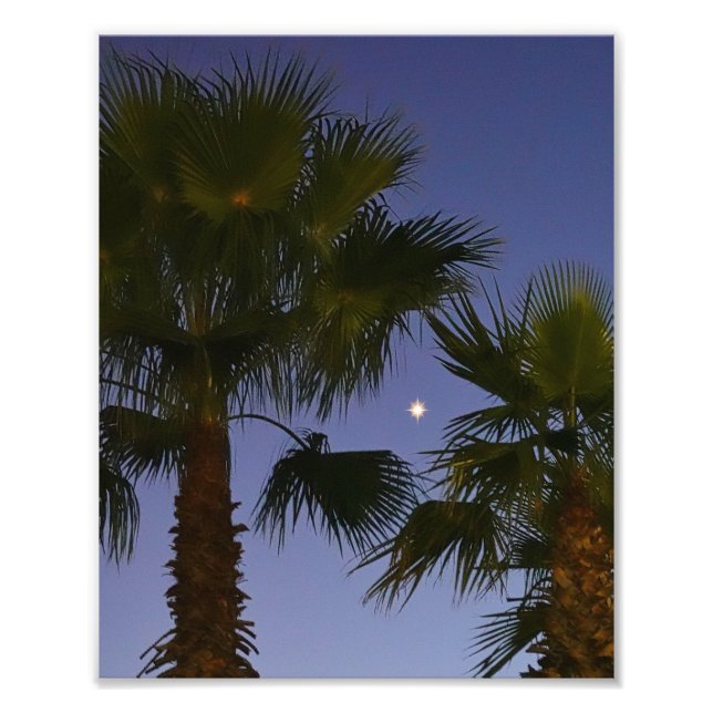 Tropical Palm Tree Wall Art Twilight Coastal Fototryck (Framsidan)