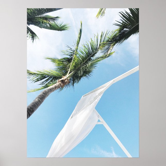 Tropical Palm Trees Under Blue Sky Photography Poster (Framsidan)