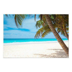 Tropical Paradise Beach Fototryck