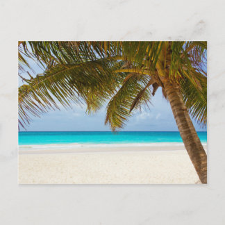 Tropical Paradise Beach Vykort