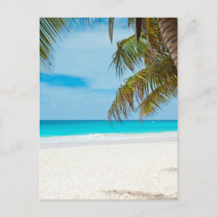 Tropical Paradise Beach Vykort