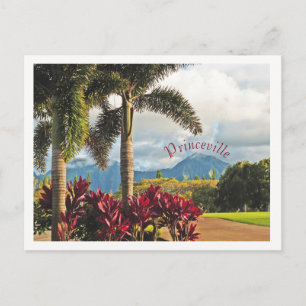 "Tropical Paradise"/Princeville, Kauai Vykort