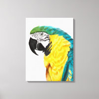 Tropical Parrot Bird