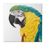 Tropical Parrot Bird Kakelplatta<br><div class="desc">Tropical Parrott Bird. Artist: Naomi McCavitt. Bild-ID: 145976Z.</div>