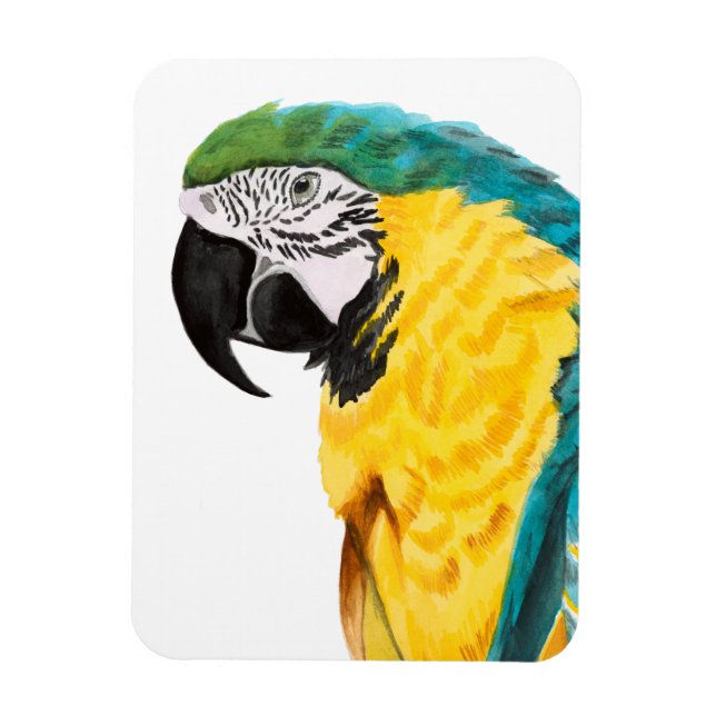 Tropical Parrot Bird Magnet (Vertikal)