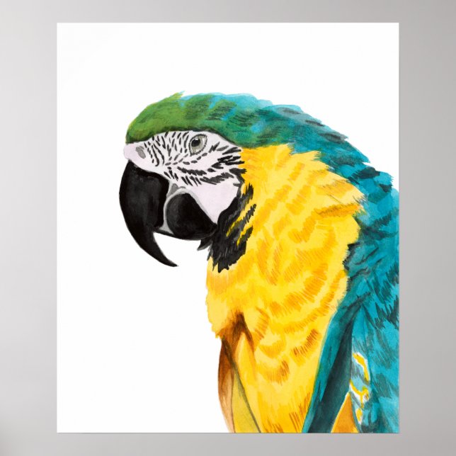Tropical Parrot Bird Poster (Framsidan)
