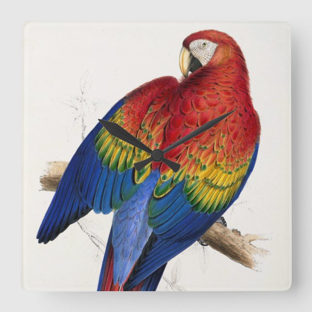 Tropical Parrot Clock Fyrkantig Klocka (Framsida)