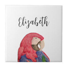 Tropical Parrot Teckning Colorful Macaw Kakelplatta