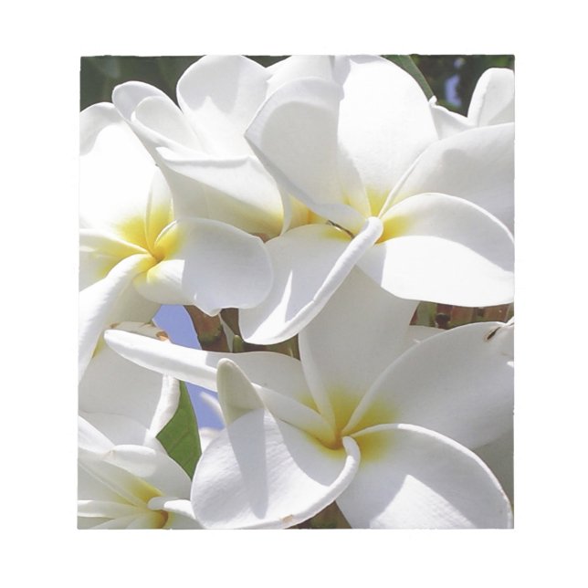 Tropical Plumeria Flowers Anteckningsblock (Framsida)