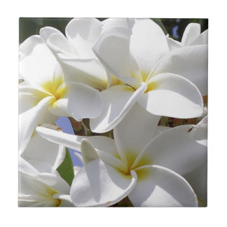 Tropical Plumeria Flowers Kakelplatta