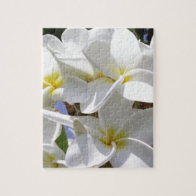 Tropical Plumeria Flowers Pussel (Vertikal)