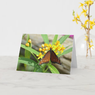Tropical Queen Butterfly, FL-kort Kort