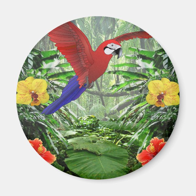 Tropical Rain Forest Magnet (Framsidan)