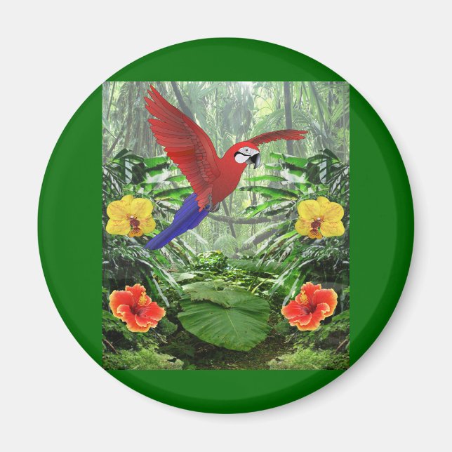 Tropical Rain Forest Magnet (Framsidan)
