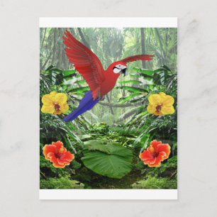 Tropical Rain Forest Vykort