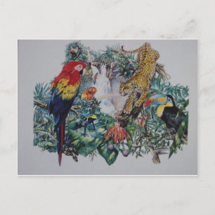 Tropical Rainforest Wildlife Collage Vykort