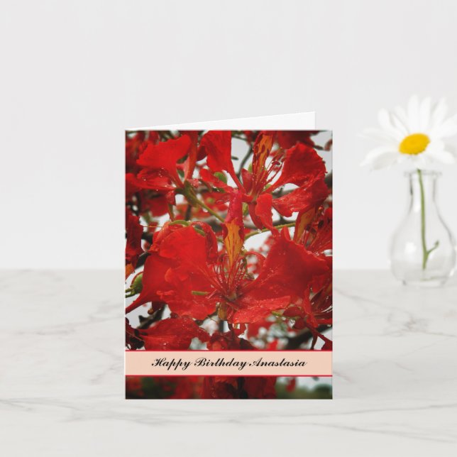 Tropical Red Flamboyant Flowers Birthday Kort (Liten växt)