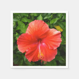 Tropical Red Hibiscus Bonita Vår Florida Pappersservett
