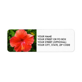 Tropical Red Hibiscus Bonita Vår Florida Returadress Etikett