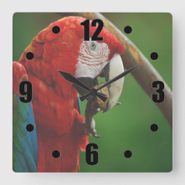 Tropical Red Parrot Fyrkantig Klocka