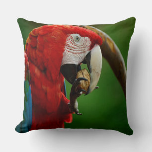 Tropical Red Parrot Kudde