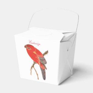 Tropical Red Parrot Thunder_Cove Presentaskar