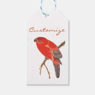 Tropical Red Parrot Thunder_Cove Presentetikett