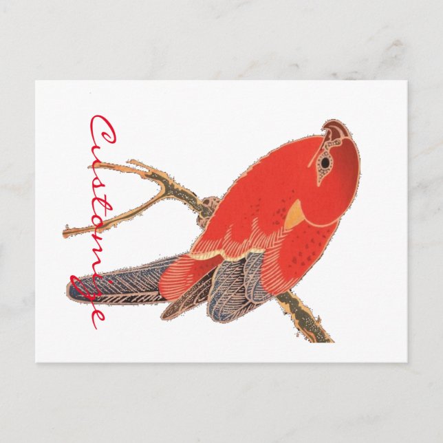 Tropical Red Parrot Thunder_Cove Vykort (Framsida)