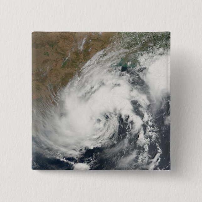 Tropical Storm Bijli Knapp (Framsida)
