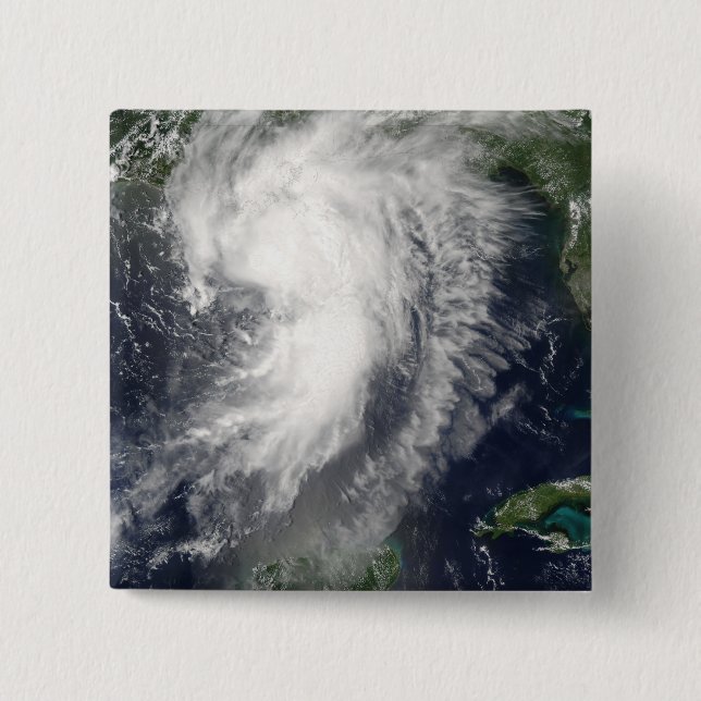 Tropical Storm Cindy Knapp (Framsida)