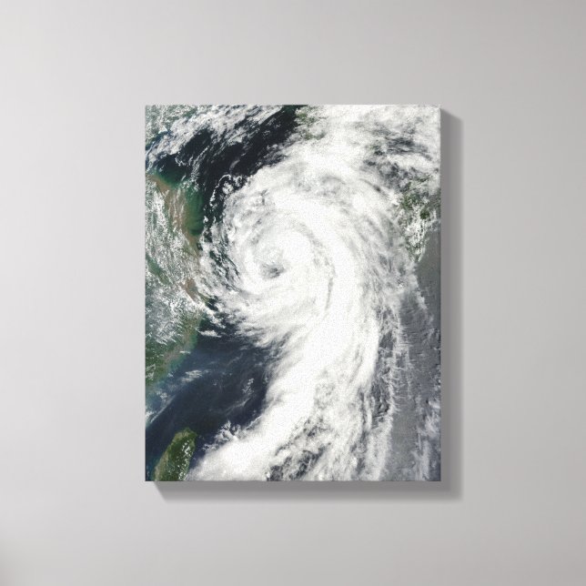 Tropical Storm Dianmu Canvastryck (Framsida)