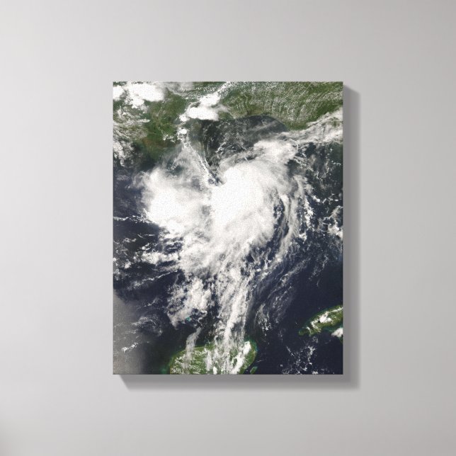Tropical Storm Edouard Canvastryck (Framsida)