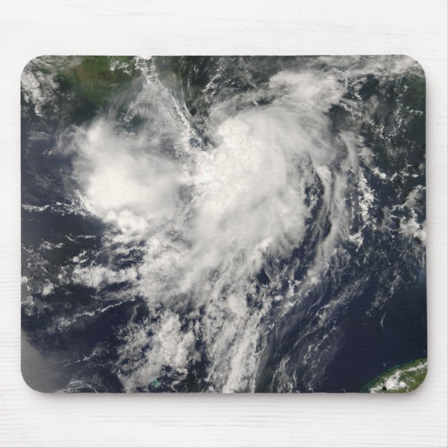 Tropical Storm Edouard Musmatta (Framsidan)