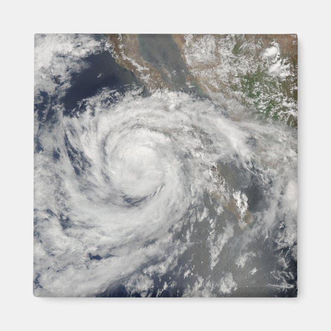 Tropical Storm Emilia Magnet (Framsidan)