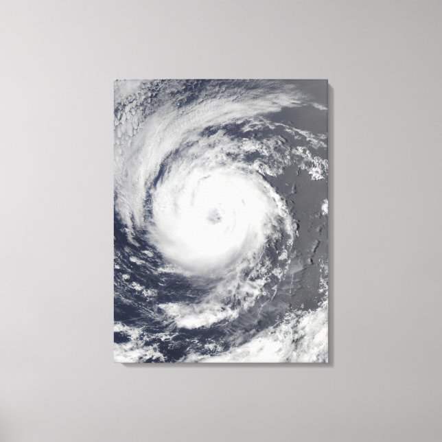 Tropical Storm Guillermo Canvastryck (Framsida)