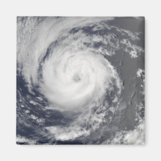 Tropical Storm Guillermo Magnet (Framsidan)